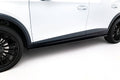 Maxton Side Skirts - Cupra Formentor [2020-]