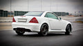 Maxton sidokjolar - Mercedes SLK R 170
