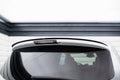 Maxton Spoiler - Ford S-Max Mk1