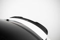Maxton Spoiler - Tesla Model X