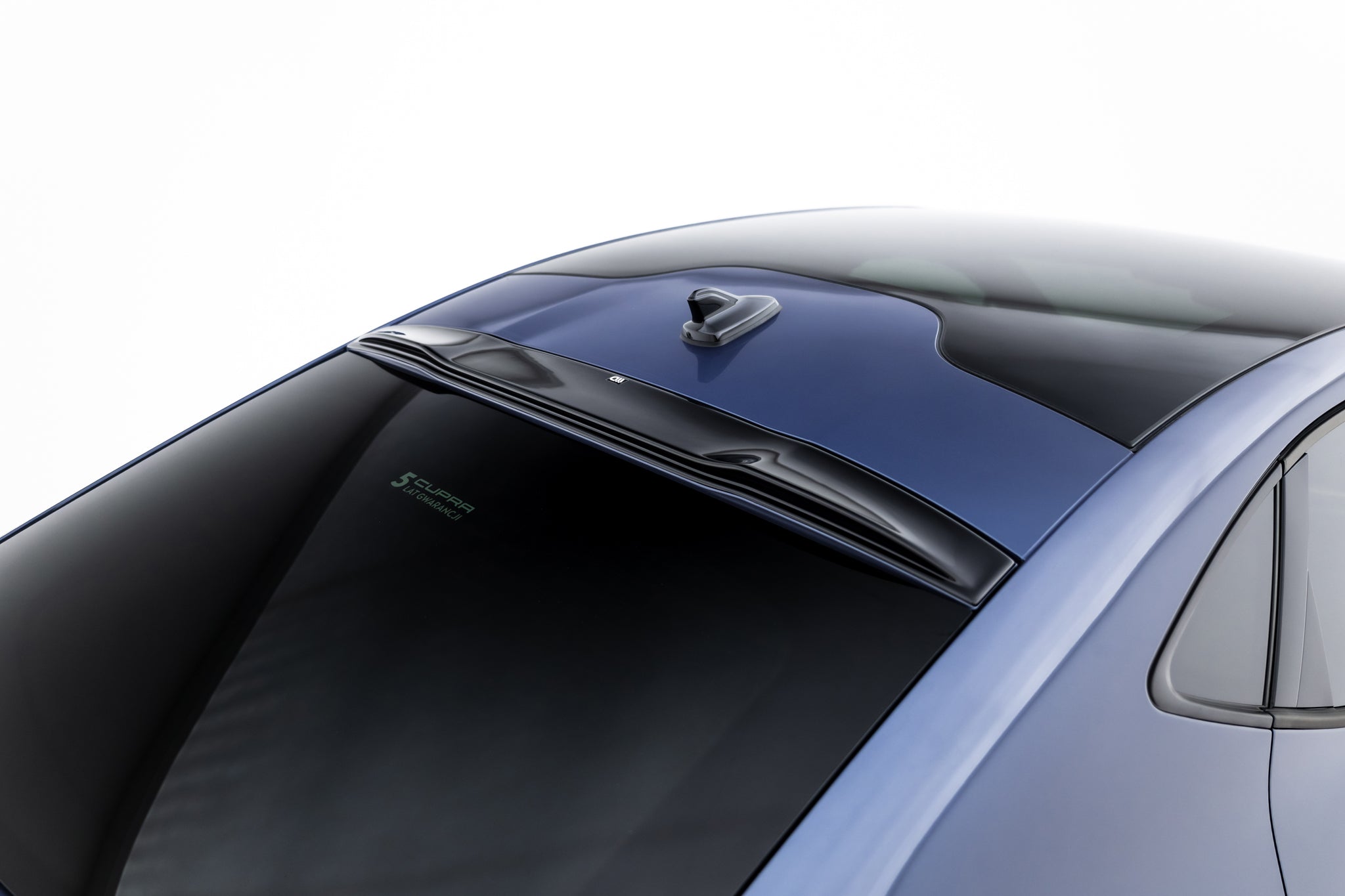 Maxton Other - Cupra Tavascan Mk1 [2023-]